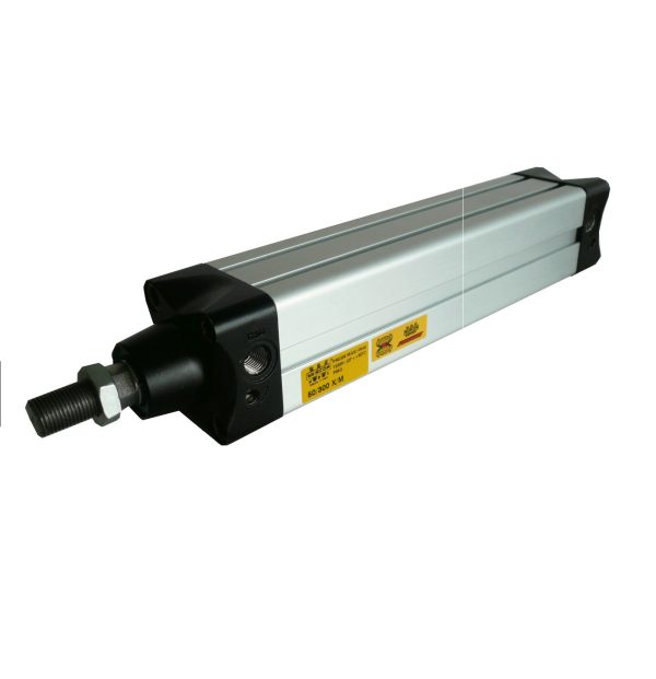 Cilindro XM100-125 c/anello m.